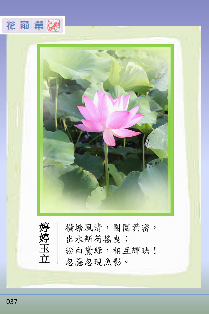 page-42